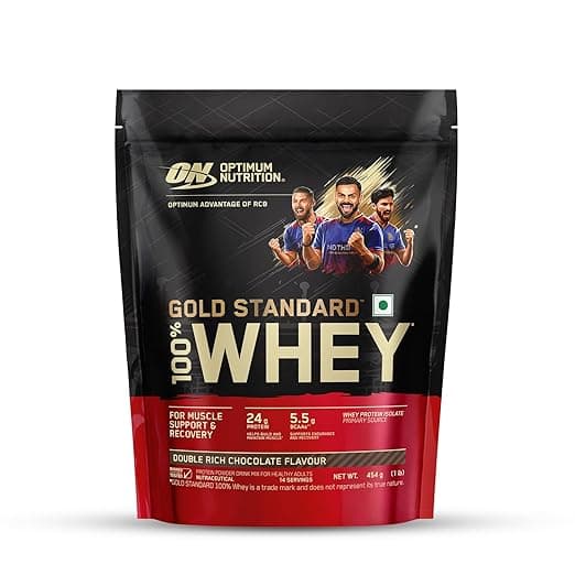Optimum Nutrition Gold Standard Whey Protein — Double Rich Chocolate